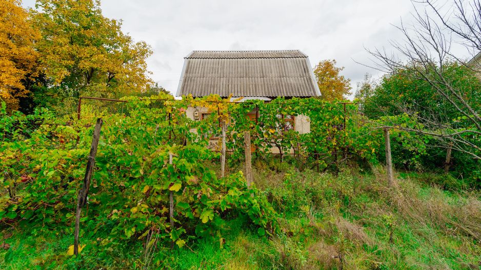 Lot pomicol de 6 ari în Ialoveni, cu construcție auxiliară. - Poză 10
