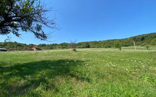 Teren 11.000 mp-ideal cabana/ferma-Unirea-Valea Slatinitei - Poză 8