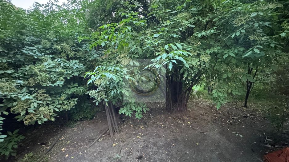 Teren și casă de vânzare în Miercurea Ciuc, zona L1u (strada Leliceni) - Poză 25