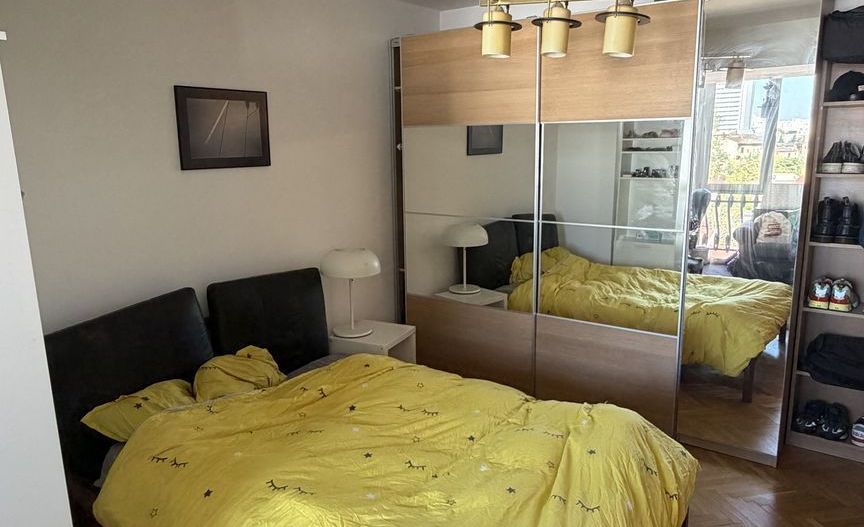 Apartament ultracentral Crisana // Cismigiu - Poză 5