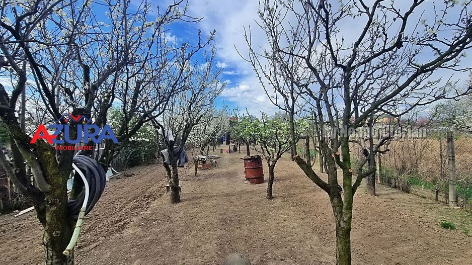 AZURA Imobiliare - Casa Prundu Bananai - Poză 32