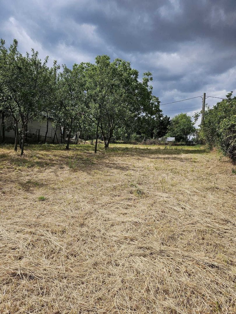 Teren construibil Saldabagiu de Munte 780 mp - Poză 8