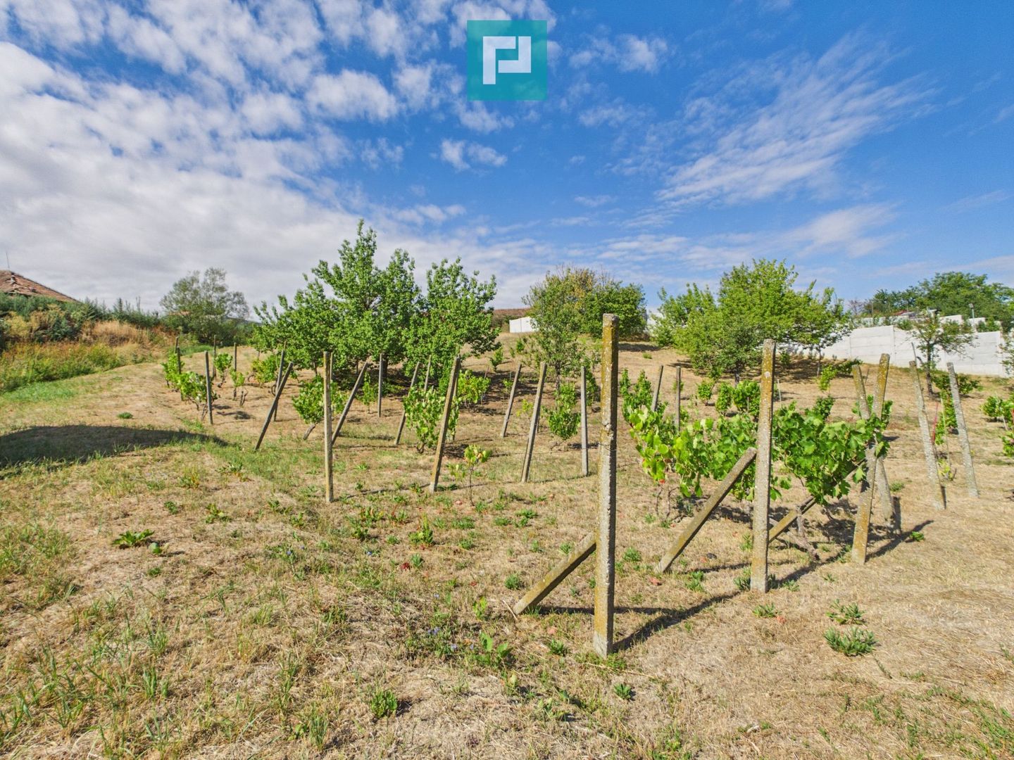 Casă din lemn în Uileacu de Munte – teren 2140 mp - Poză 22
