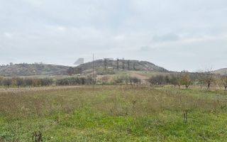 Casa cu 3 Hale si teren 8000 mp in Ulileacu de Cris, Bihor - Poză 13