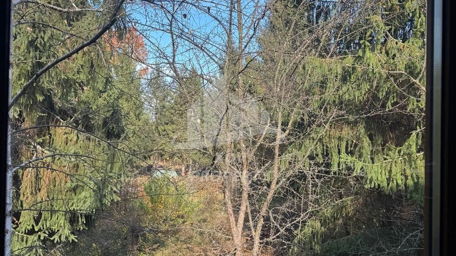 Pensiune/ Vila Valea Avrigului - Poză 18