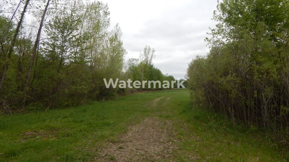 Teren cu PUD de vanzare! Pret excelent! - Poză 2