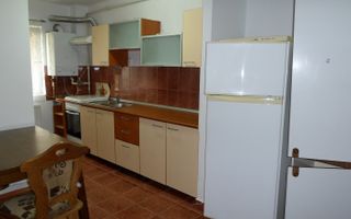Apartament 1 camera cu nisa de dormit str. C-tin Brancusi ! - Poză 7