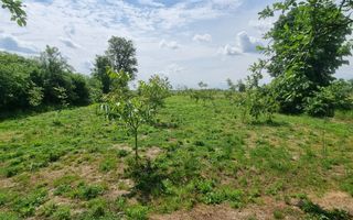 Casă 6 camere, livadă, 3 199 mp, Girisul Negru, Bihor. 42 000 E - Poză 9