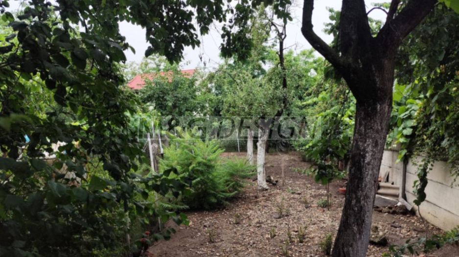 Casa veche zona Bogdanestilor cu teren 1033mp - Poză 3