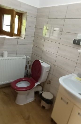Vila de vanzare|7 camere| 774 mp teren| Snagov| Ocazie! - Poză 17
