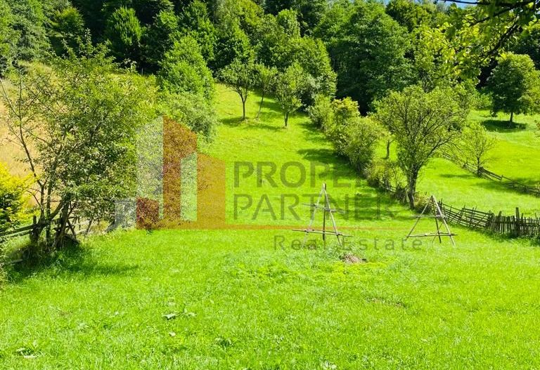 Teren 5879 mp + casa batraneasca Moieciu de jos - Poză 2