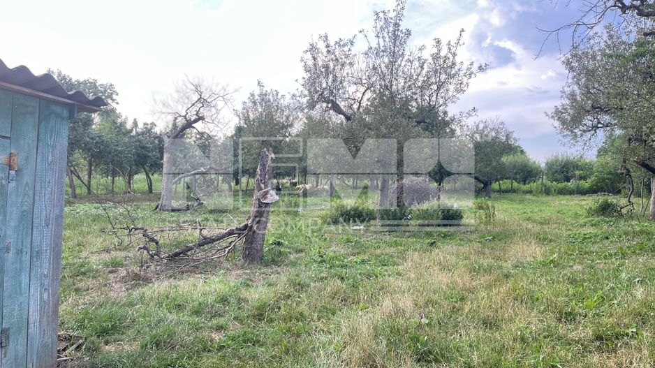 Casă la Țară cu Livadă 20 Ari | Rotopanesti/Suceava | 60.000Euro - Poză 19