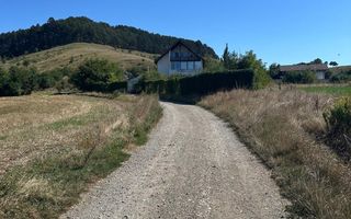Teren intravilan Sanpetru Lempes str Dealului - Poză 8