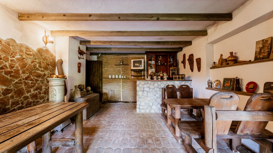 Domeniu în satul Căprioara - Poză 76