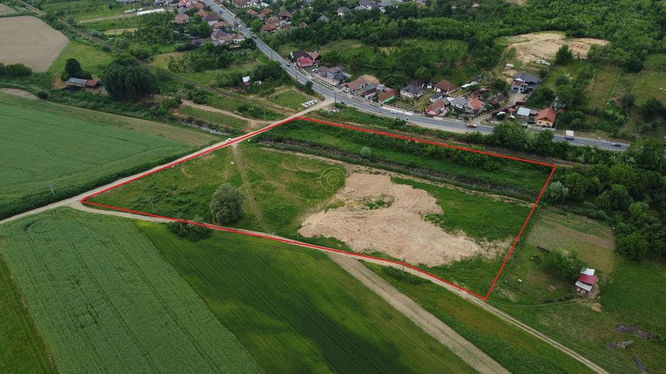 Teren 14500 MP in Sabisa langa Soseaua Principala - Poză 1