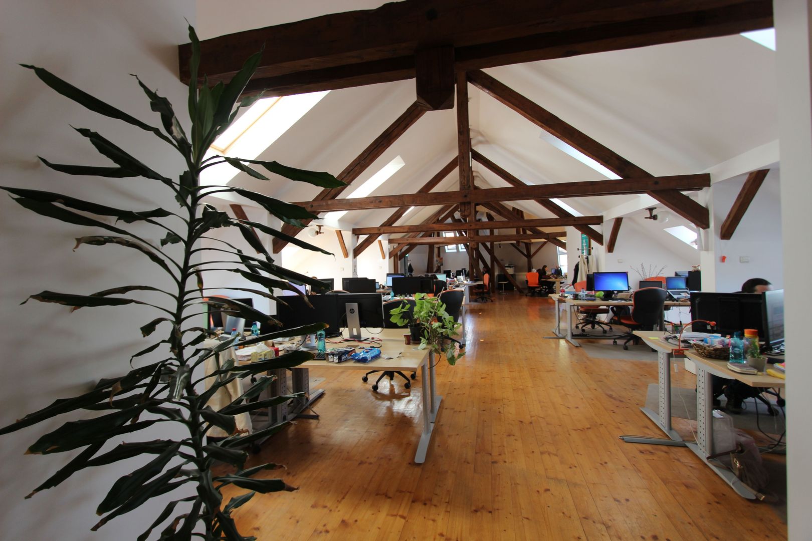 Spațiu birouri 282mp -Ultracentral- 3000 euro/luna+TVA - Poză 4