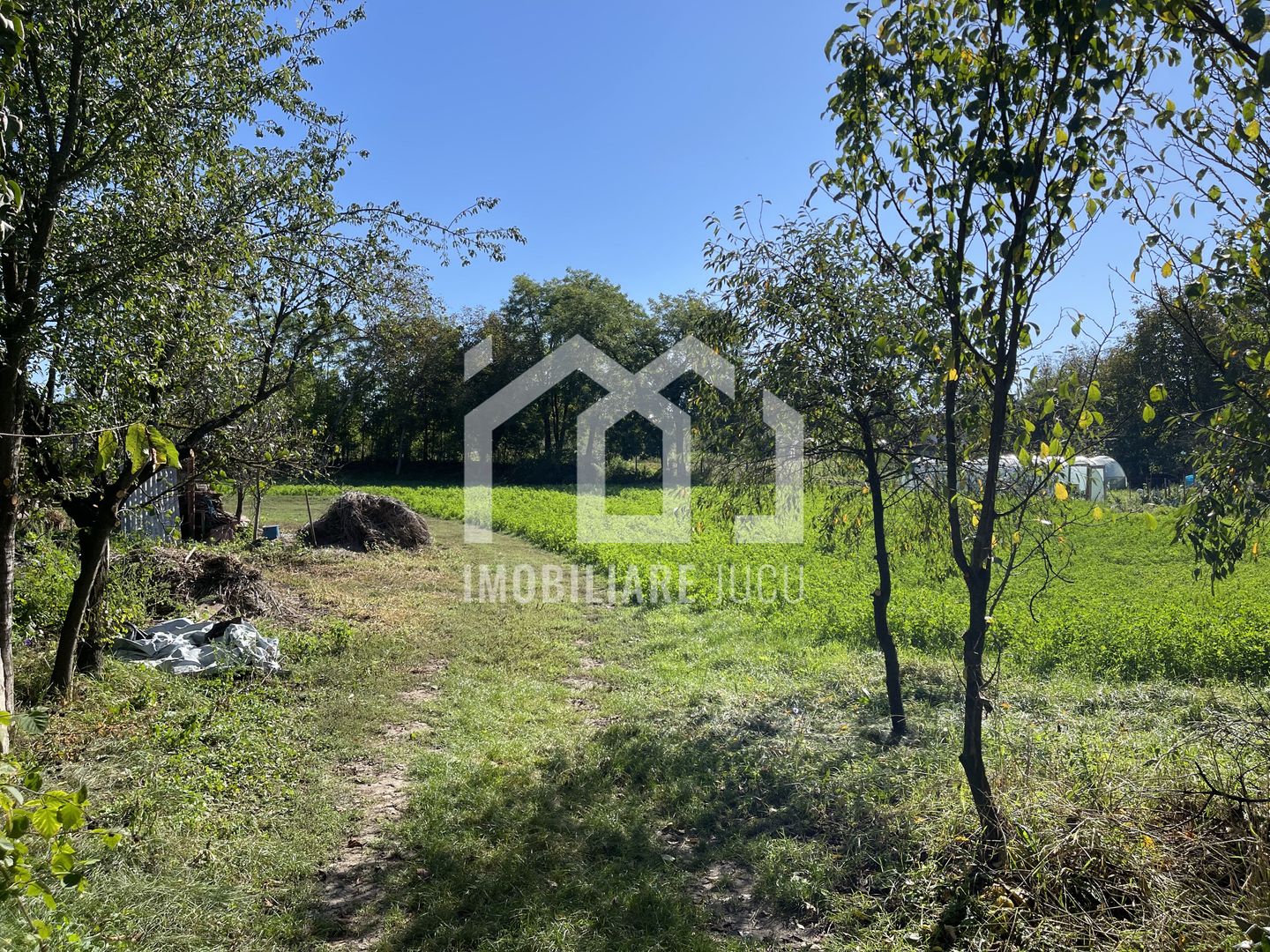 Teren Intravilan 1000mp - Jucu de Sus - Poză 4