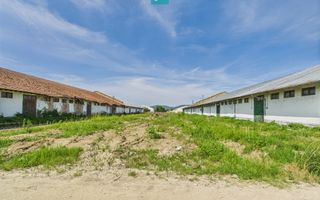 Hale 1800 mp fiecare – acces autostradă, Teiu, HD - Poză 16