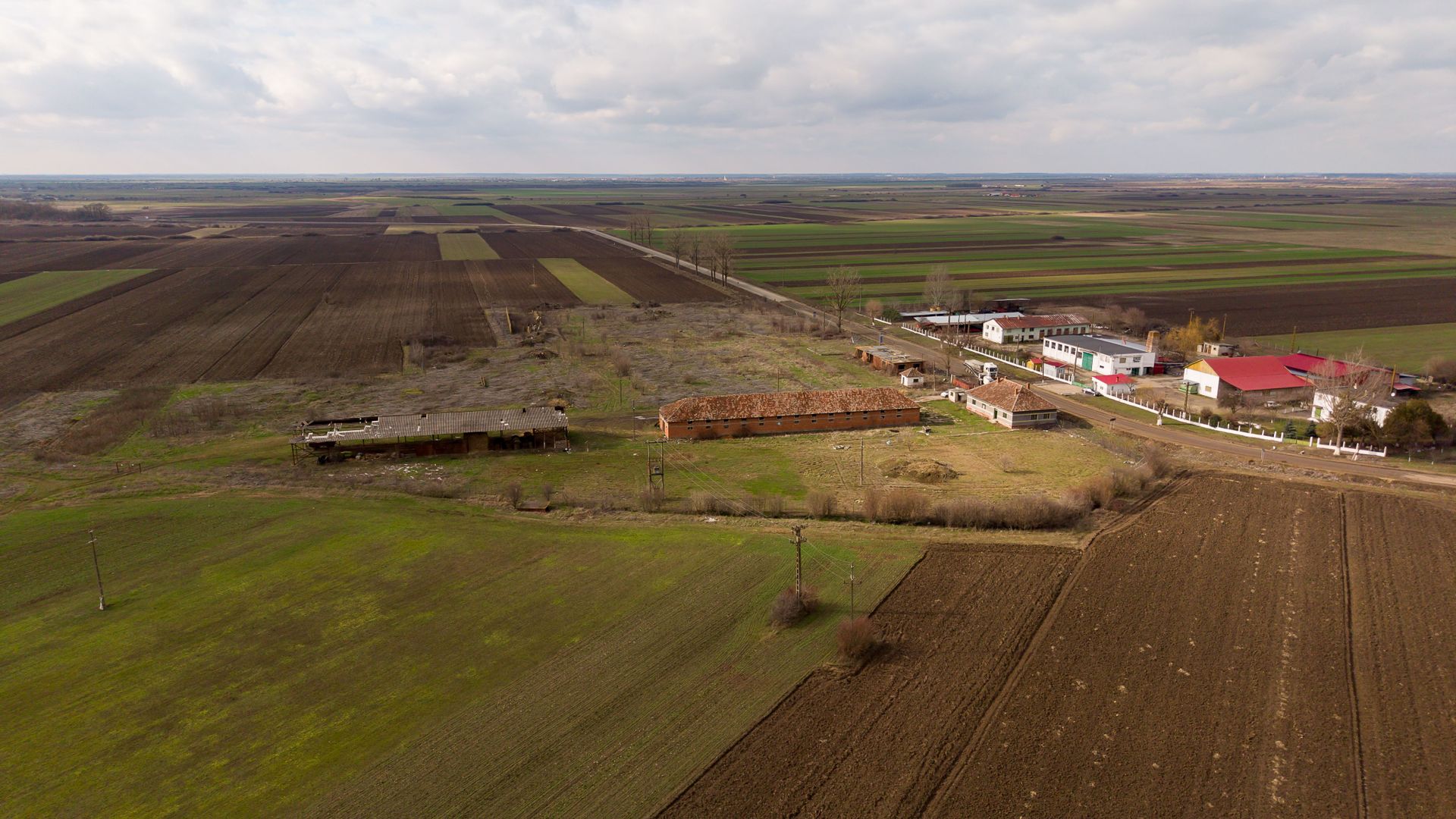 Fermă cu teren intravilan de 35000 mp în Mișca - Poză 9