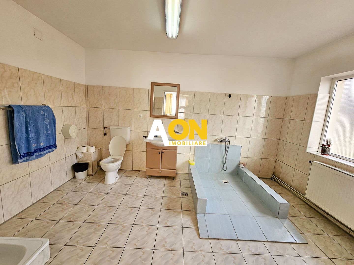 Casa 10 camere, 878 mp teren, toate utilitatile, Barabant - Poză 5