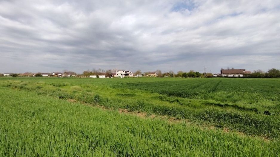 Intravilan pozitie excelenta - 15 minute de capitala - Poză 1