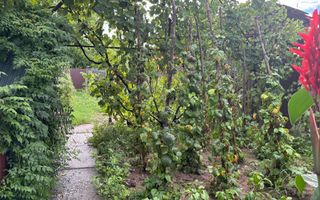 BLACK FRIDAY-Casa individuala 4 camere I Teren 480mp I Blaj - Poză 8