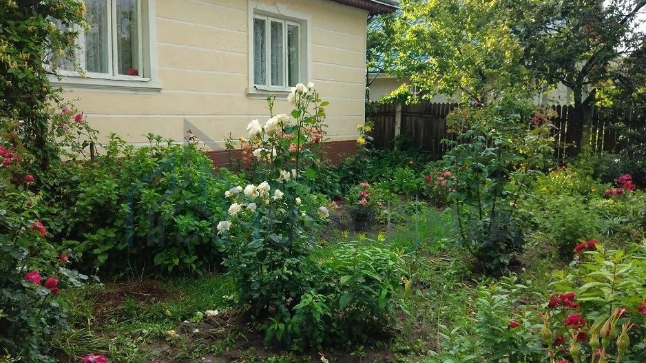 Casă cu teren în Deleni, Iași - Stradă principală - Poză 5