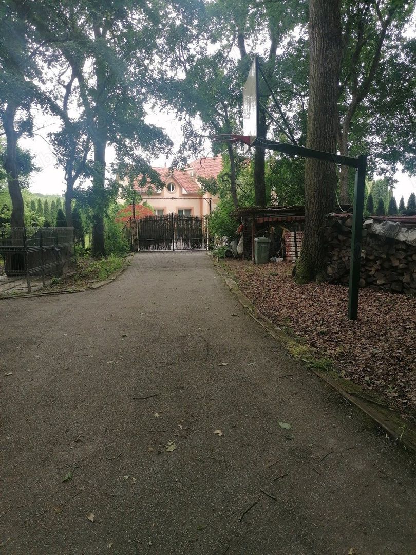 Vând casă Satu Mare P+M+D - Poză 2