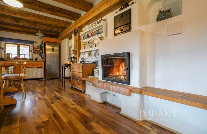 Casa traditionala de vis, aproape de Cluj-Napoca - Poză 9