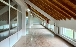 Spatii comerciale pentru activitati diverse - Dumbravita, central - Poză 4