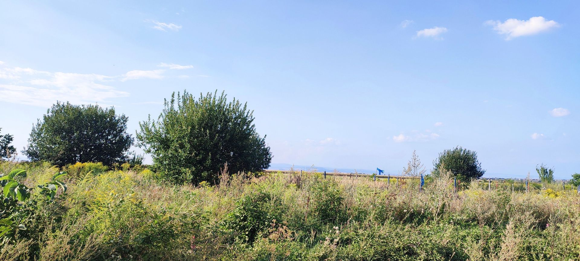 teren intravilan in Sacele-Baciu - Poză 2