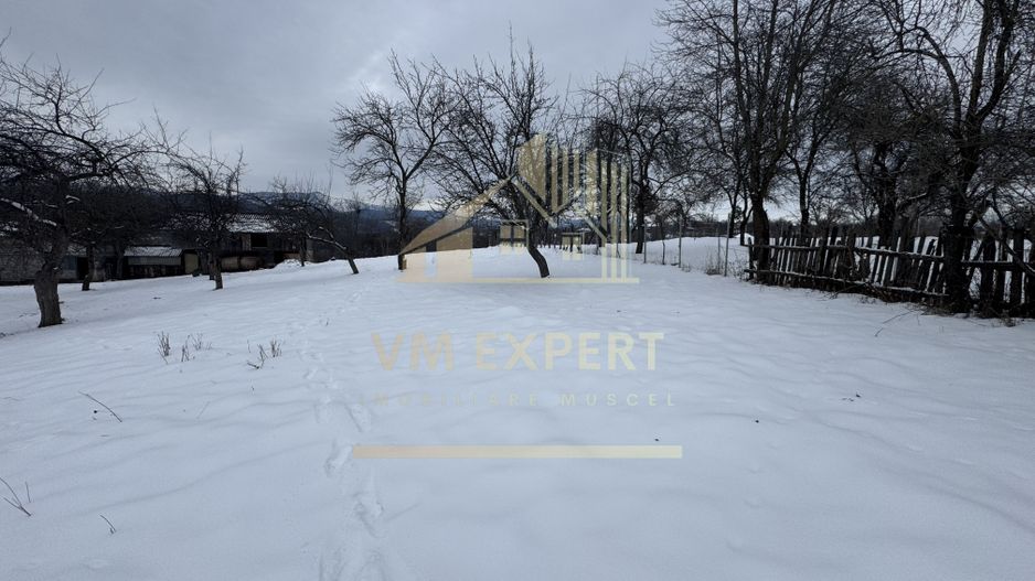 CASĂ 4 CAMERE TEREN 3038 MP ALBEȘTII  DE MUSCEL - Poză 34