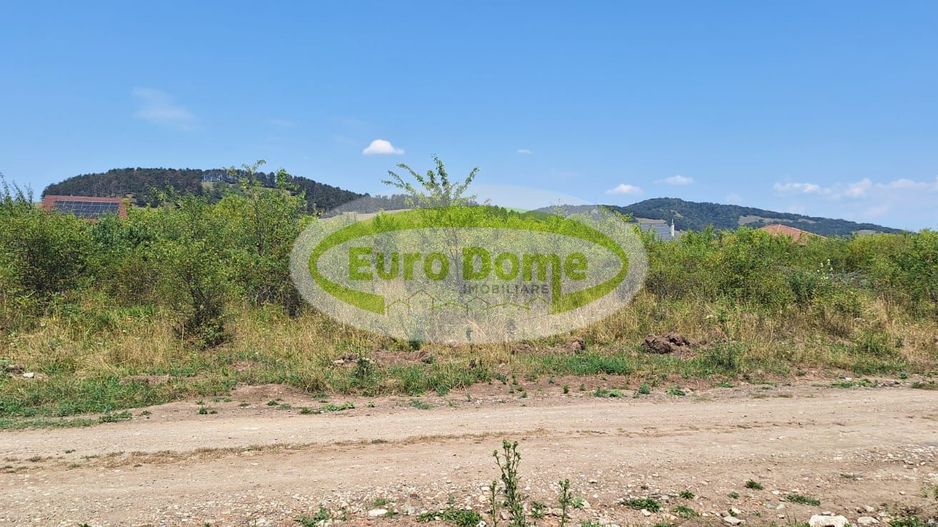 Sanpetru, str. Piersicului, teren 1182mp, 40 euro/mp - Poză 2