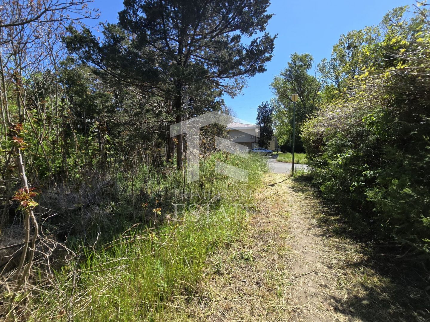 🏖 Teren de vanzare in Neptun – O oportunitate rara de investitie. - Poză 17