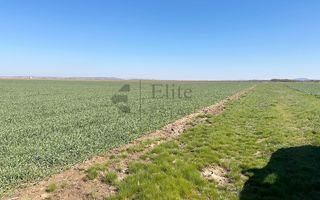 Teren 20.141 mp de vanzare in zona Aeroportului Oradea - Poză 1