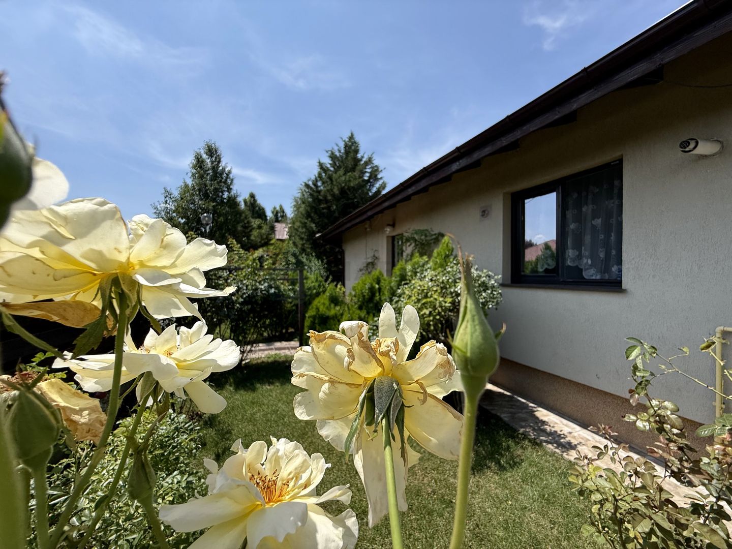 Casa pe parter Balotesti | Teren 600 mp - Poză 4