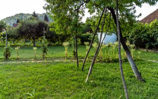 Casă frumoasă la Săvârșin - Poză 9