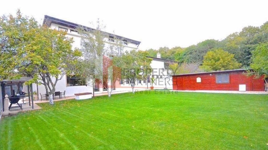 Vila superba langa padure in Pipera, Iancu Nicolae - Poză 7