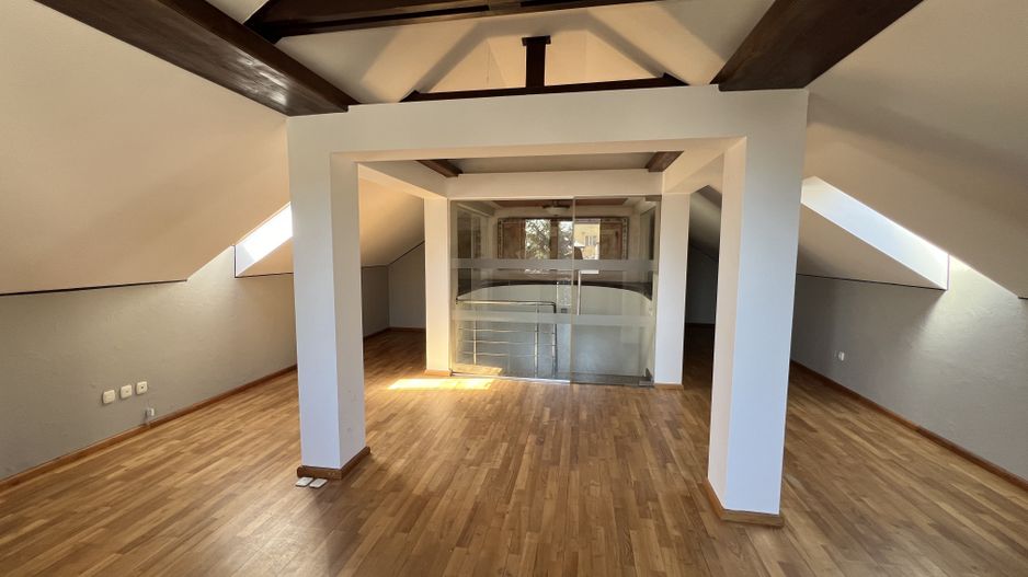 Vila superba Baneasa - Dobrogeanu Gherea - Poză 8