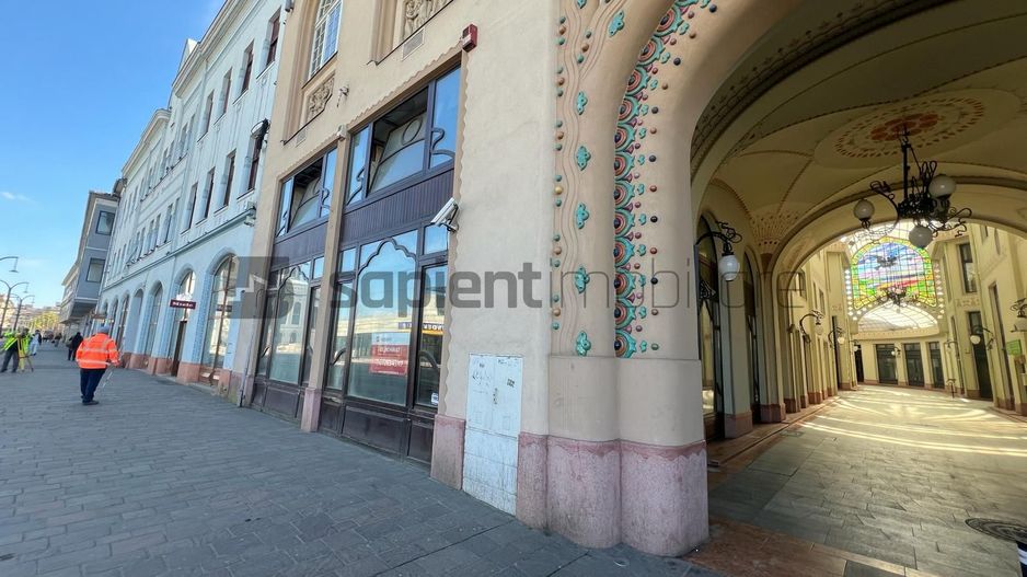 Sapient | Spațiu comercial _ Pasajul Vulturul Negru - Poză 3