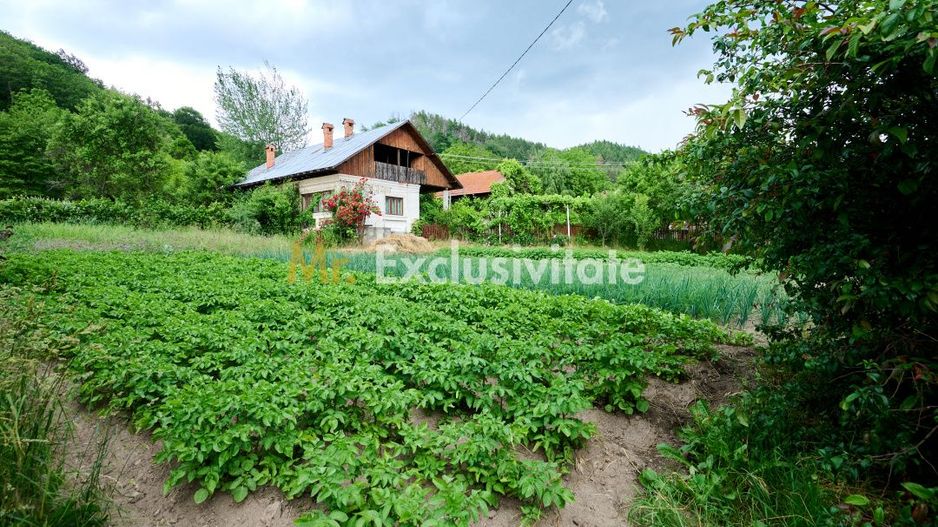 Casa cu teren generos - 4696 mp Apa Sarata - Campulung !! - Poză 9