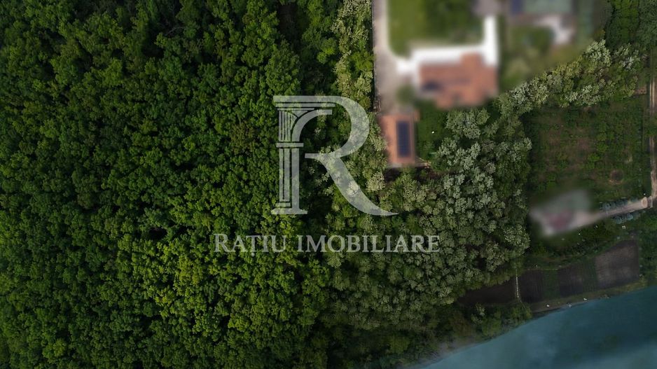 Teren cu lac | 9.000 mp | Oportunitate Investitionala - Poză 2