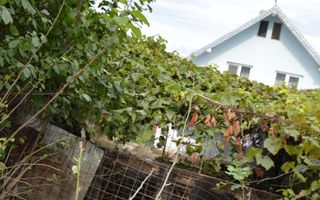 Casă de vânzare în Sfântu Ilie și teren 2000 mp - Poză 33