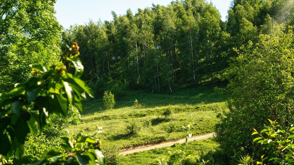 Casa in Feleacu, 1.582 mp teren intravilan. Se accepta schimburi. - Poză 27