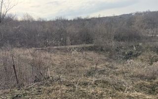 Teren intravilan 500 mp în Vlădiceni, la 8 minute de oraș și 12 minute de Carrefour Felicia - Poză 5