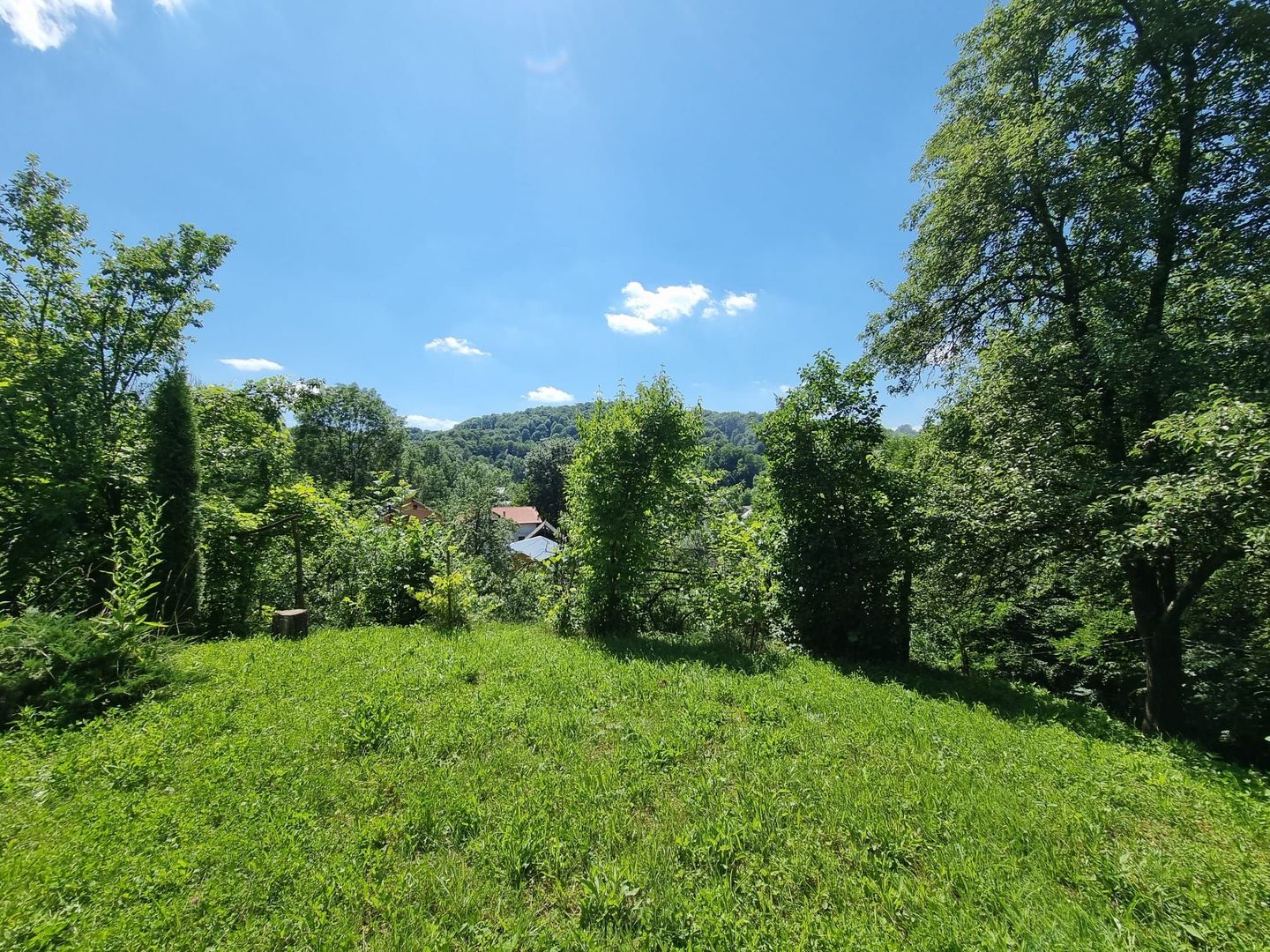 Casa de la marginea padurii! - Poză 6