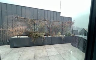 Inchiriere apartament 3 camere Avalon Estate - Poză 23