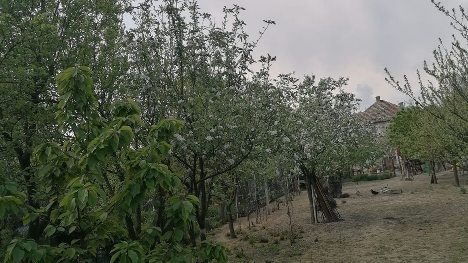 Ag EUROPA vinde casa 6 cam teren 11 ari în zona 14 Mai. - Poză 1