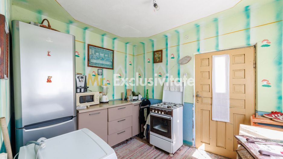 CASA SI GOSPODARIE DE VANZARE – SPINENI, OLT | 4.000 MP TEREN - Poză 4