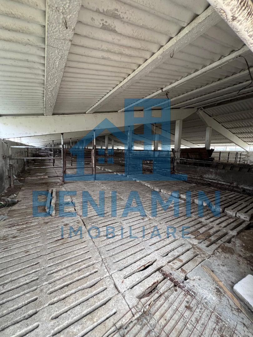 60.000mp Ferma de bovine, păsări, porcine, culturi agricole Diverse - Poză 4